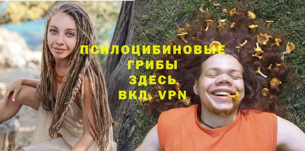 МДПВ Володарск