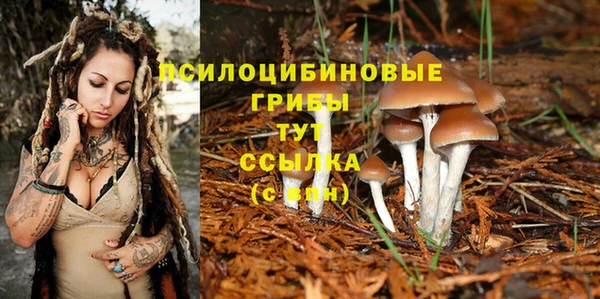 Альфа ПВП Волоколамск